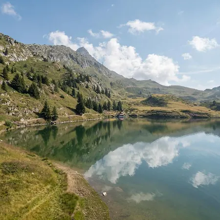 Toggi Og