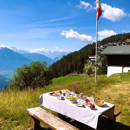 Toggi Og * Bettmeralp