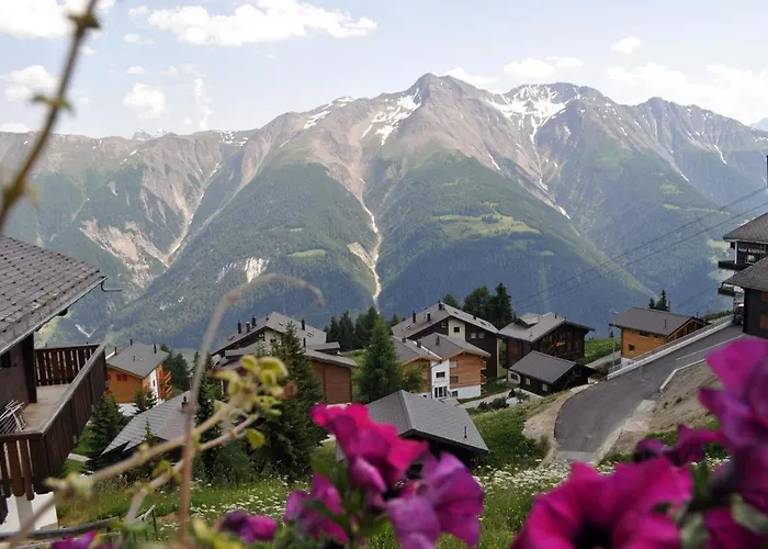 Toggi Og * Bettmeralp