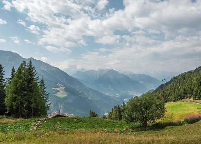 Toggi Og Apartment Bettmeralp