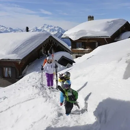 Toggi Og Bettmeralp