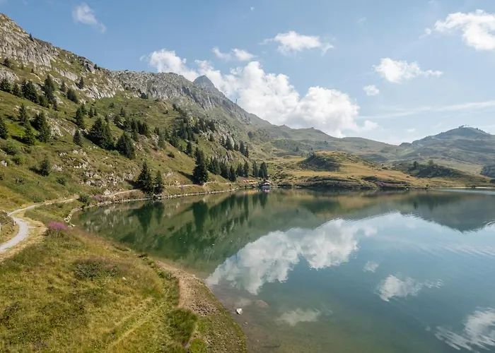 Toggi Og