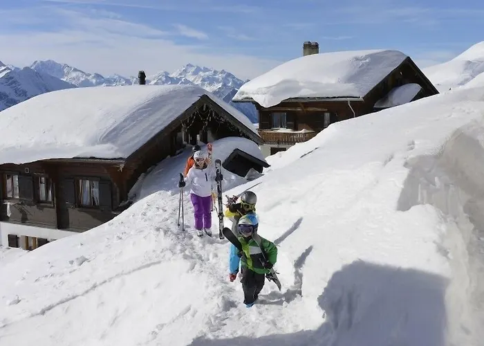 Toggi Og Bettmeralp